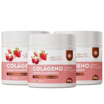 KIT 3 - Colágeno VERISOL by Vanessa Guirau & Renata Meins - 150g KIT 3 - Colágeno VERISOL by Vanessa Guirau & Renata Meins - 150g