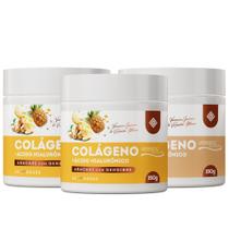 KIT 3 - Colágeno VERISOL by Vanessa Guirau & Renata Meins - 150g KIT 3 - Colágeno VERISOL by Vanessa Guirau & Renata Meins - 150g