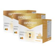 Kit 3 Condrigen Artro Colágeno Tipo 1 e 2 Frutas Amarelas 30 Sachês Maxinutri Kit 3 Condrigen Artro Colágeno Tipo 1 e 2 Frutas Amarelas 30 Sachês Maxinutri