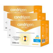 Kit 3 Condrigen Artro Colágeno Tipo 1 e 2 Neutro Maxinutri