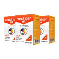 Kit 3 Condrigen HA. Colágeno + Ácido Hialurônico 60 Cápsulas
