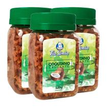 Kit 3 Coquinho Crocante Coco e Rapadura Pote 360gr Tia Sônia