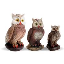 Kit 3 Corujas Espanta Pombos E Passarinhos Em Gesso - Várias Variedades