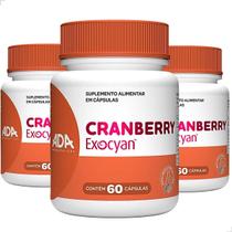 Kit 3 Cranberry 180 Cápsulas Extrato Seco Suplemento Original Fruta Natural Concentrado Vitamina