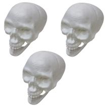 Kit 3 Cranio Caveira Esqueleto Decorativo Plastico Halloween - Pais e filhos