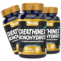 Kit 3 Creathinex Monohidrate 180 Cápsulas Suplemento Alimentar Creatina Monohidratada Concentrado