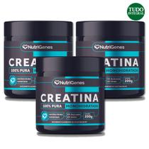 Kit 3 Creatina 200G - Nutrigenes