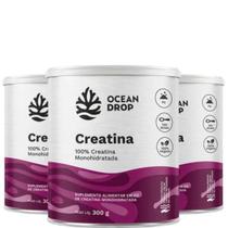 Kit 3 Creatina 450G Cada Pura Ocean Drop - Rende 150 Porções