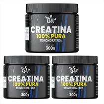 Kit 3 Creatina Pura 300g Kit 3 Creatina Pura 300g
