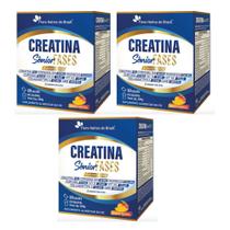 Kit 3 Creatina Sênior Fases + Associações Manga 3x20 sachês 200 gramas Flora Nativa Sabor:Manga Kit 3 Creatina Sênior Fases + Associações Manga 3x20 sachês 200 gramas Flora Nativa Sabor:Manga