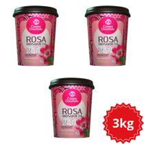 Kit 3 Creme de Tratamento para Pentear e Hidratante 2 em 1 Regarv 1kg Corpo Dourado Todos os Tipos de Cabelo - Kit 3 Creme de Tratamento para Pentear e Hidratante 2 em 1 Regarv 1kg Corpo Dourado Todos os Tipos de Cabelo -