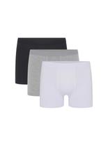 Kit/3 Cueca Boxer Hering 77UC Masculina Algodão T. P/XXG