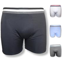 Kit 3 Cueca Boxer Masculina Microfibra Box Sortida Rupee