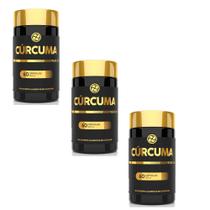 Kit 3 Cúrcuma Premium 500mg 3x60 cps Floral Ervas