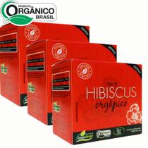 KIT 3 Cx Chá de HIBISCUS 100% Natural - Orgânico (30 Sachês) - Campo Verde