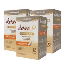 Kit 3 DermUp Supreme Acido Hialurônico D-Pantenol 30 Caps Maxinutri Kit 3 DermUp Supreme Acido Hialurônico D-Pantenol 30 Caps Maxinutri