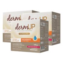 Kit 3 DermUp Supreme Verisol Sache Frutas Vermelha Maxinutri