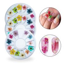 Kit 3 Discos Flores Secas Decoração Encapsulamento de Unhas Manicure Unhas Decoradas Nail Art Nail Designer Profissional Unha Gel Natural Fibra Vidro