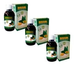 Kit 3 Dissol Suplemento Natural Para Cálculos 150ml Da Raiz