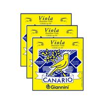 Kit 3 Encordoamento Viola Giannini Canário GESVBL Aço Cebolão Em Mi Leve