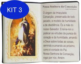 Kit 3 Enfeite Decorativo Resina Livro Imaculada Conceição