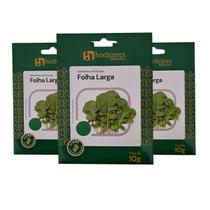 Kit 3 Envelopes de 10g Sementes de Rúcula Folha Larga Horticeres Kit 3 Envelopes de 10g Sementes de Rúcula Folha Larga Horticeres