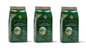 Kit 3 Erva Mate Colonial Yacuy 500g