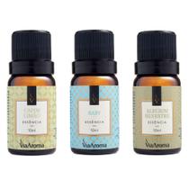 Kit 3 essencias - capim limao, alecrim silvestre e baby