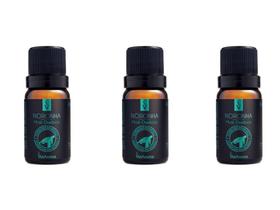 Kit 3 Essências Noronha/Musk Oceânico - 10Ml Via Aroma