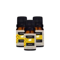 Kit 3 Essências Oleosas Cheiro para Ambiente