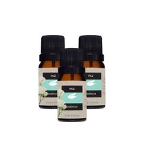 Kit 3 Essências Oleosas Cheiro para Ambiente