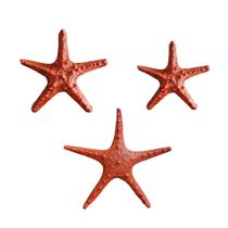 Kit 3 Estrelas do Mar Laranja Estilo Boho Chic, Rústico e Tropical VÁRIAS VARIEDADES