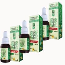 Kit 3 Extrato Própolis verde 70 Apis Flora 30ml