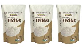 Kit 3 farinha de trigo integral orgânica ecobio 400 g