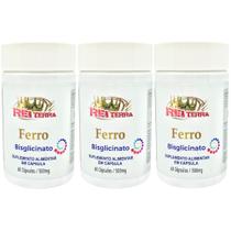 Kit 3 Ferro 180 Cápsulas - Rei Terra Kit 3 Ferro 180 Cápsulas - Rei Terra