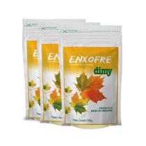 Kit 3 Fertilizante Mineral Enxofre Dimy - 300g