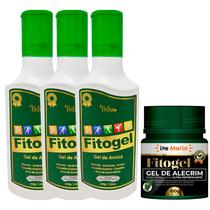 Kit 3 Fitogel Gel de Arnica + Gel de Alecrim Fitogel - Elimina a Dor e Tensão Muscular
