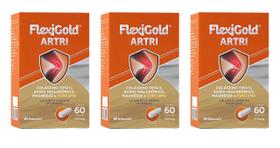 Kit 3 Flexigold Artri 60 Capsulas Herbamed