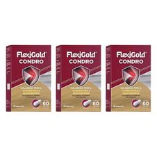 Kit 3 Flexigold Condro Colágeno Tipo 2 Condroitina 60 Caps