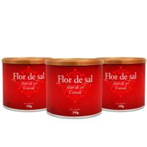 Kit 3 Flor de Sal 350g - Cimsal Kit 3 Flor de Sal 350g - Cimsal