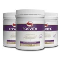 Kit 3 Fosvita Regulador Intestinal Vitafor 250G