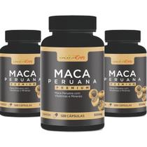 kit 3 Frasco Mac a de 120 cápsulas Total 360 cápsulas 500 mg kit 3 Frasco Mac a de 120 cápsulas Total 360 cápsulas 500 mg