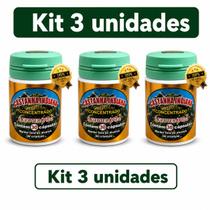 Kit 3 Frascos de Castanha Indiana Concentrado com 30 Cápsulas Suplemento Alimentar 500mg Kit 3 Frascos de Castanha Indiana Concentrado com 30 Cápsulas Suplemento Alimentar 500mg
