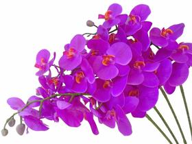 Kit 3 Galhos de orquídeas artificiais Pink em silicone