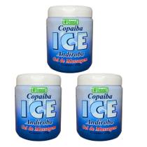 KIT 3 Gel de Massagem Ice Copaíba e Andiroba alivia dores tensões 250g Pronatus do Amazonas KIT 3 Gel de Massagem Ice Copaíba e Andiroba alivia dores tensões 250g Pronatus do Amazonas