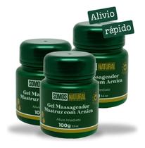 Kit 3 Gel Massageador Mastruz com Arnica Somos Natural 100g Kit 3 Gel Massageador Mastruz com Arnica Somos Natural 100g