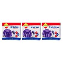 Kit 3 gelatina diet vit c uva suco da fruta 10g lowçucar