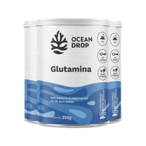 Kit 3 Glutamina Em Pó Ocean Drop Vegano 250G