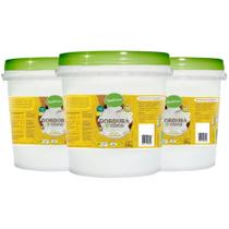 Kit 3 Gordura de Coco Balde 10Kg Qualicoco Kit 3 Gordura de Coco Balde 10Kg Qualicoco