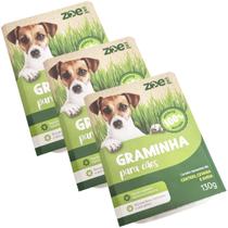 Kit 3 Graminhas Grama Para Cães Cachorro Comestível Auxilia na Digestão e Intestino Zoe Pet